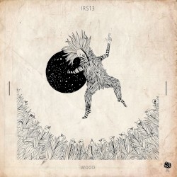 Irs13