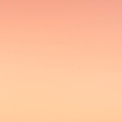 Daybreak