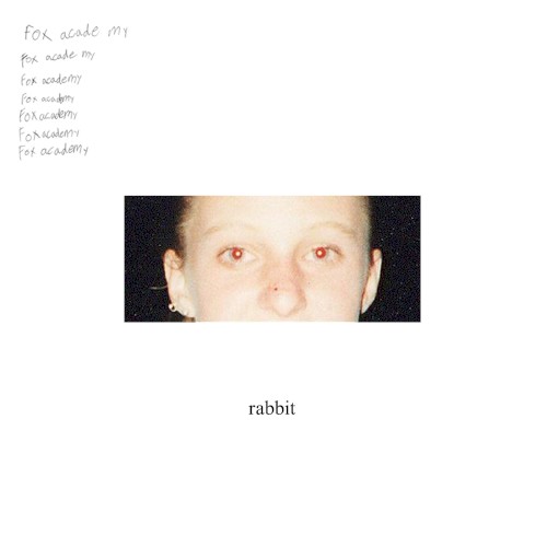 rabbit
