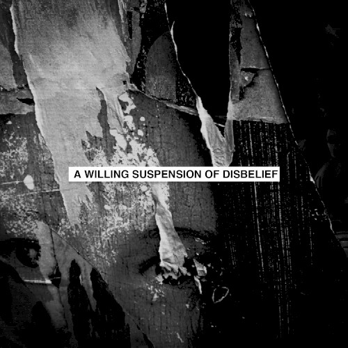 A Willing Suspension of Disbelief