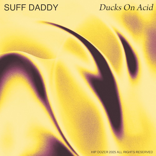 Ducks on Acid