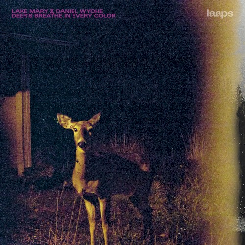 Deer’s Breathe in Every Color