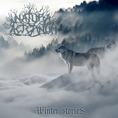Winter Stories