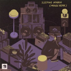 Sleeping Norboo (Moods remix)