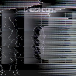 The Remixes