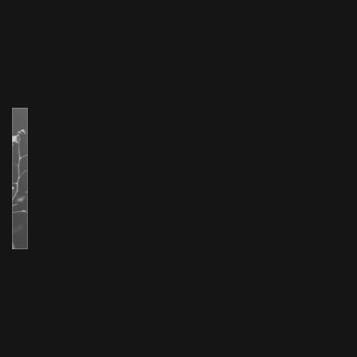xivum