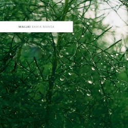 Mallki