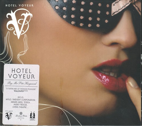 Hotel Voyeur