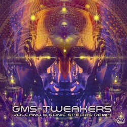 Tweakers (Volcano & Sonic Species remix)