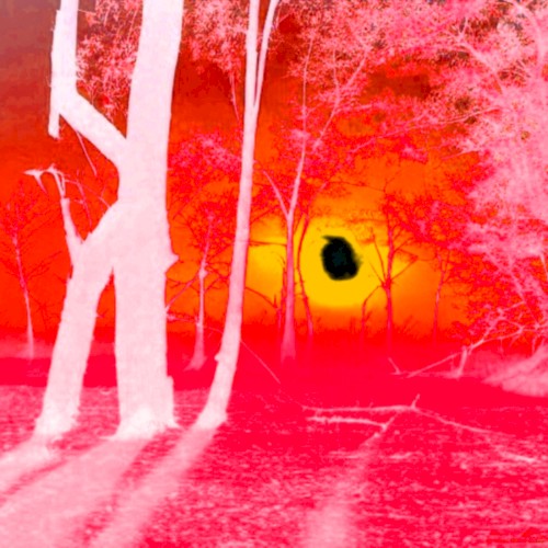 Red Earth
