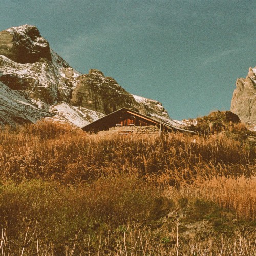 Build and Rest by the Shepherd's Light