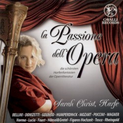 La Passione dell'Opera