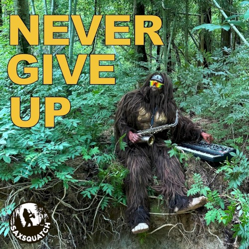 Never Give Up