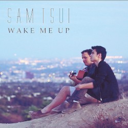 Wake Me Up (Acoustic)