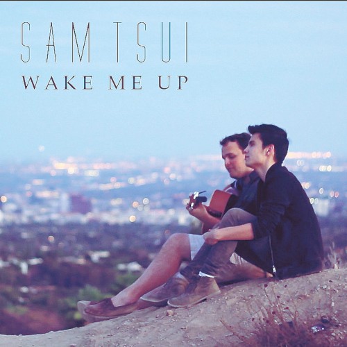 Wake Me Up (Acoustic)