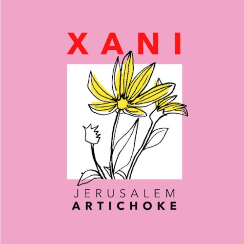 Jerusalem Artichoke