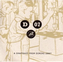 A Snapshot From Domino 2007