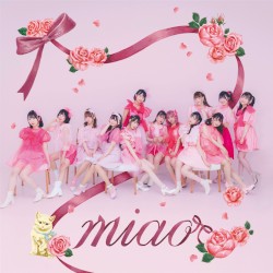 miao !