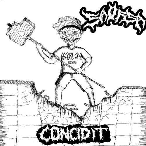 CONCIDIT