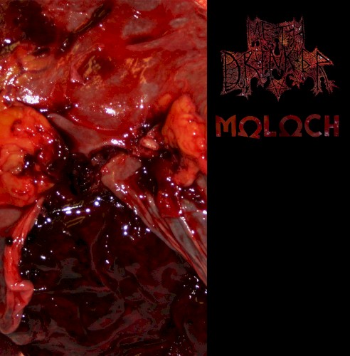 Meth Drinker / Moloch