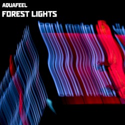 Forest Lights