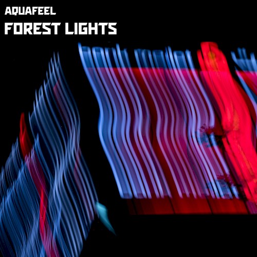 Forest Lights