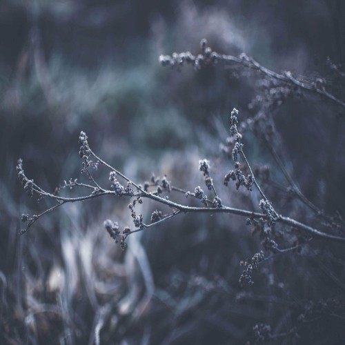 Evocation