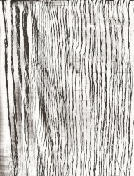 Fruiting Stump