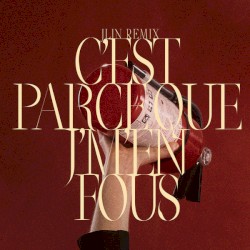 C’est Parce Que J’m’en Fous (Jlin remix)