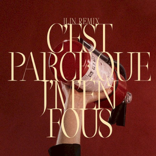 C’est Parce Que J’m’en Fous (Jlin remix)