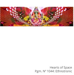Hearts Of Space Pgm. No 1044: Ethnotronic