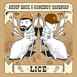 Lice