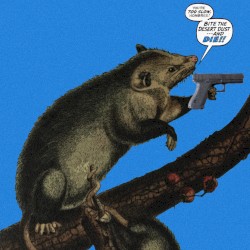 Awesome Possum