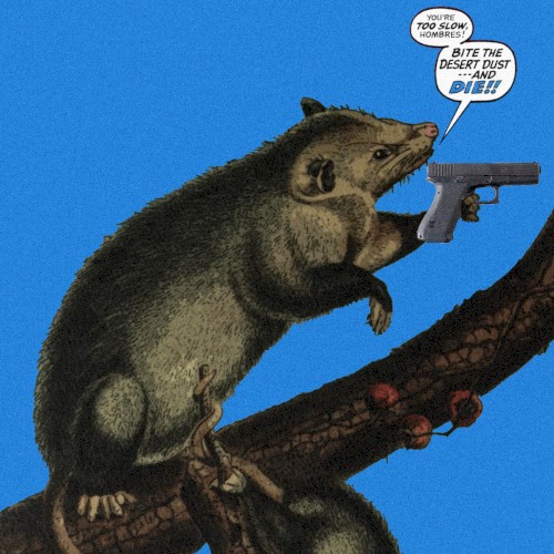 Awesome Possum