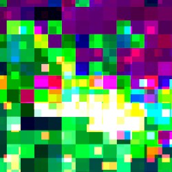 Xenon Chameleon (Live at WickedSick Fest 2021))