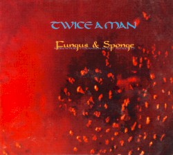Fungus & Sponge