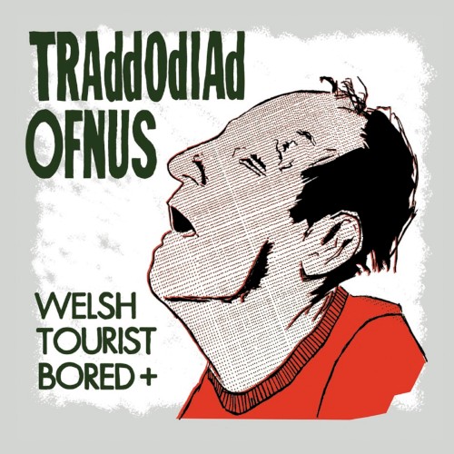 Welsh Tourist Bored