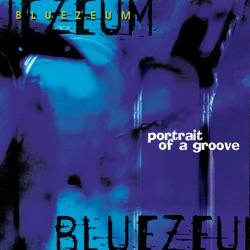 Portrait of a Groove
