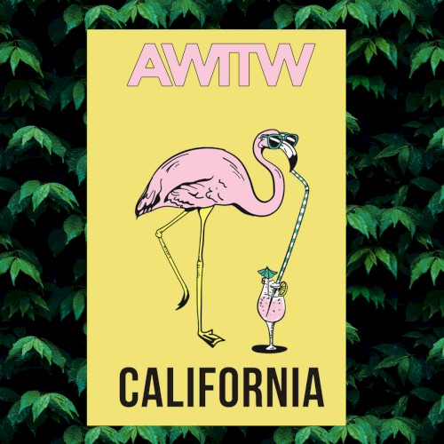 Pink Flamingos