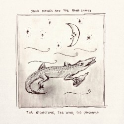 the nighttime, the wind, the crocodile