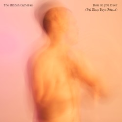 How Do You Love? (Pet Shop Boys remix)