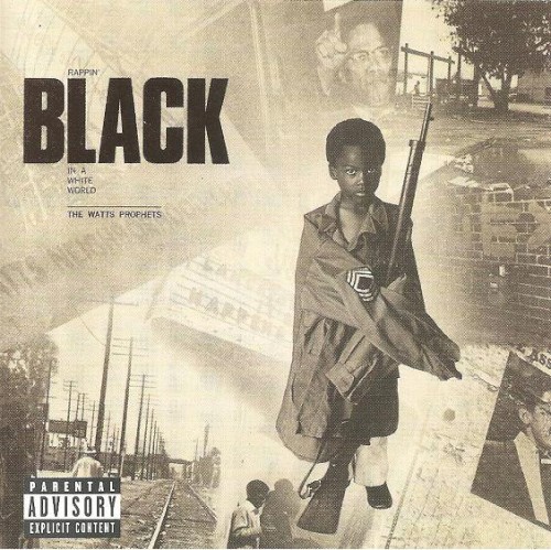 Rappin’ Black in a White World