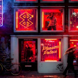 Pleasure Palace
