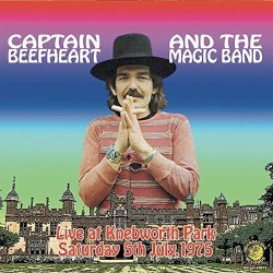 Live at Knebworth Park