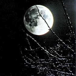 night moon