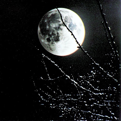 night moon