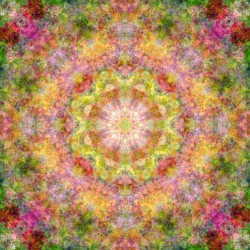✿Heavenly Light Flower Waltz✿