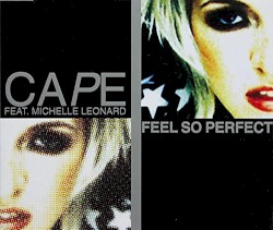 Feel So Perfect