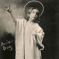 Annie‐Dog