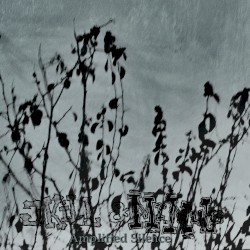 Amplified Silence